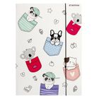 Starpak, teczka z gumką A4, minisy, 1 szt.