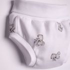 Szorty chłopięce, bloomersy, mix, zestaw, 2 szt., Nicol