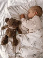 Szumisie, Miś dla starszaków, maskotka z mechanizmem szumiącym 5w1, brązowy, 36 cm