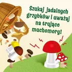 Trefl, Grzybobranie w Zielonym Gaju, gra familijna 3D
