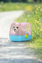 Baby Born, My dog Lucky, piesek na smyczy, maskotka z akcesoriami