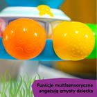 Baby Einstein, Opus's Spin and Sea, interaktywna ośmiornica, przyssawka