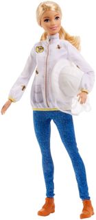 Barbie, Kariera, Pszczelarz, zestaw z lalką i akcesoriami