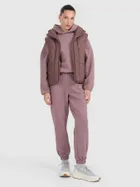 Bluza damska z kapturem, brązowa, 4F