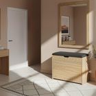 Boximo, Vault, szafka na buty z siedziskiem i wysuwanymi półkami, 57-30-53 cm