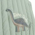 Cool Club, Kurtka chłopięca, zielona