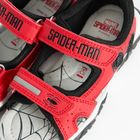 Cool Club, Sandały chłopięce, czerwone, skórzana wkładka, świecąca podeszwa, Spider-Man