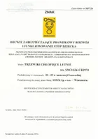 Cool Club, Sandały chłopięce, pachnące, brązowe, Zdrowa Stopa