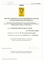 Cool Club, Sandały dziewczęce, pachnące, białe, Zdrowa Stopa