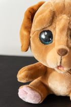 Cry Pets, U weterynarza, maskotka interaktywna