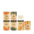 EcoSoft, Botanical Organic, Zero Waste, balsam do ust, Bursztyn, 7,2 ml