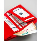 Etui na dokumenty, czerwone, skórzane, Rovicky