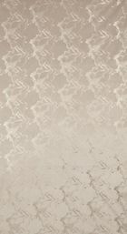 Eurofirany, zasłona gotowa, Raja, 140-250 cm, beżowy