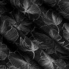 Eurofirany, zasłona zaciemniająca gotowa, na taśmie, Stella, 140-300 cm, czarny