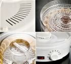 Extralink, Home, suszarka spożywcza do grzybów