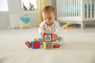 Fisher-Price, Aktywne klocki ze zwierzątkami, zabawka edukacyjna