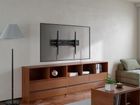 Gembird, uchwyt ścienny do telewizora, 43"-100"
