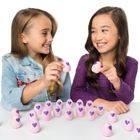 Hatchimals, zestaw 12-pak, pudełko
