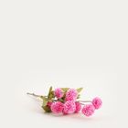 Homla, Marita, bukiet kwiatów, stokrotki pełne różowe, 52 cm