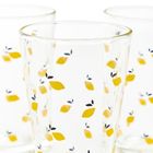Homla, Token Summer, szklanka w cytryny, 0,3 l, 3 szt.