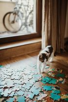 Janod, Dinozaury, puzzle edukacyjne z figurkami 3D, 200 elementów
