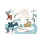 Janod, puzzle sensoryczne, kraina polarna, 20 elementów