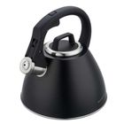 Klausberg, czajnik stalowy z gwizdkiem, 2,5l, kb-7952