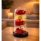 Lean Toys, 2 wieczne róże w kopule, z oświetleniem LED