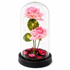 Lean Toys, 2 wieczne róże w kopule, z oświetleniem LED