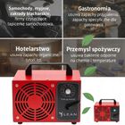 Lean Toys, ozonator powietrza do dezynfekcji, 70000mg/h