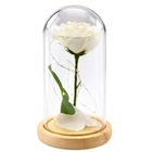 Lean Toys, wieczna róża w kopule, z oświetleniem LED