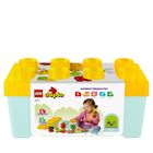 LEGO DUPLO, Ogród uprawowy, 10984