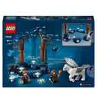 LEGO Harry Potter, Zakazany Las: magiczne stworzenia, 76432