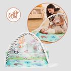 Lionelo, Anika, mata edukacyjna, natural