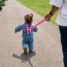 LittleLife, szelki bezpieczeństwa, Motyl