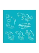 Makedo, zestaw narzędzi do konstruowania, Holiday Bundle, 149 elementów