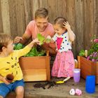 Munchkin, Miracle 360°, kubek, fioletowy, 296 ml