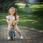 Petite&Mars, konik Little Joe, maskotka