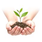 Plonos, agrowłóknina ogrodowa, 1,6100m + szpilki, 100 szt.