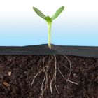 Plonos, agrowłóknina ogrodowa, czarna, 175m + szpilki, 50 szt.