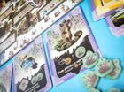 Portal Games, Bór, gra strategiczna