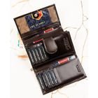 Portfel, brązowy, skórzany, Peterson