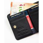 Portfel, czarny, skóra naturalna i ekologiczna, Peterson