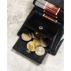 Portfel, czarny, skórzany, Peterson