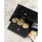 Portfel, czarny, skórzany, Peterson