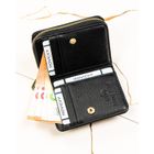 Portfel, czarny, skórzany, RFID, Rovicky