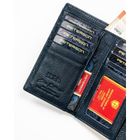 Portfel, niebieski, Peterson