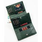 Portfel, zielony, Peterson