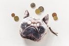 Portmonetka 3D, buldog
