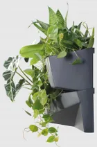 Prosperplast, kwietnik wertykalny, antracytowy, 4 elementy